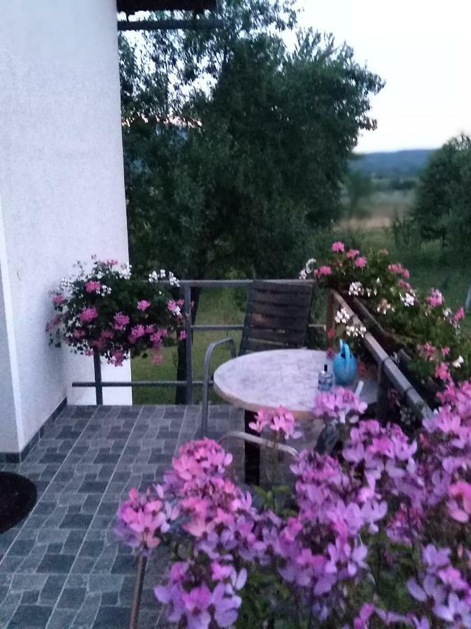 Guest House First Stop Раковица Экстерьер фото